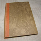 Edgar Rice Burroughs Marsin prinsessa - pikkukuva 3