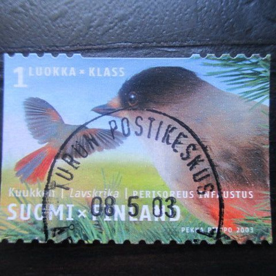 Kuukkeli 2003