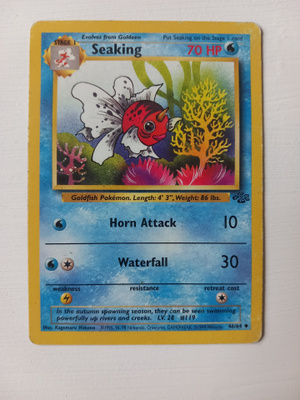 Seaking 46/64