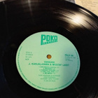lp  J. Karjalainen Varaani - pikkukuva 4