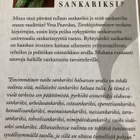 PAAVOLA: RYHTYISINKÖ SANKARIKSI? - pikkukuva 2