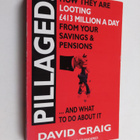 David Craig : Pillaged - pikkukuva 1