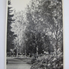 VANHA Postikortti Oulu 1953 - pikkukuva 1