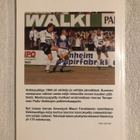 Forsblom: Veikkausliiga 1994. - pikkukuva 2