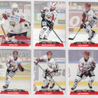 2017-18 Cardset Series 2 Sport Team Set 12 korttia (313-324) - pikkukuva 1