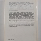 Elio Vittorini : Vierailu - pikkukuva 2