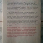 Peter Handke - Puhtaan kokemisen hetki (sid.) - pikkukuva 2