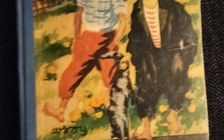 Tom Sawyerin seikkailut/Mark Twain