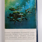 Jacques Yves Cousteau : Elävä meri - pikkukuva 2