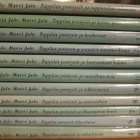 Merja ja Marvi Jalo: Pappilan ponitytöt -sarjaa - pikkukuva 1