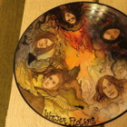 chapin sisters & winter flowers lp: kuva levy 2007 - pikkukuva 3