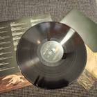 Doechii - Alligator bites never heal LP - pikkukuva 3
