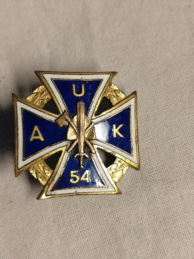 pioneeri auk 54