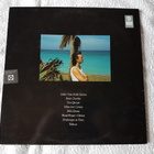 Björn Afzelius  – Don Quixote LP - pikkukuva 2