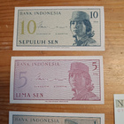 Puola Indonesia Valko-venäjä - pikkukuva 1