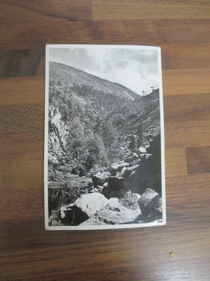 PYHÄTUNTURI postikortti v 1959