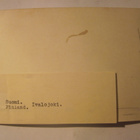 VANHA Postikortti Ivalojoki 1930-l  Alkup.Mallikappale - pikkukuva 2