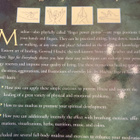 HIRSCHI: MUDRAS - YOGA in your HANDS - pikkukuva 2