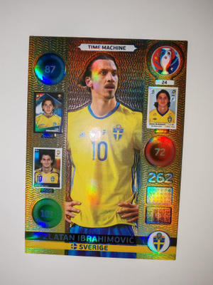 Panini Adrenalyn XL UEFA EURO 2016 #24