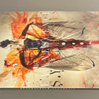 EVANESCENCE: Orchestral Arrancements By David Campell - LP - pikkukuva 3