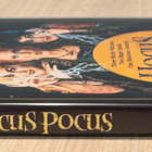 Hokkus Pokkus (1993) Bette Midler, Sarah Jessica Parker - pikkukuva 3