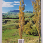 Robin Smith : A Portrait of New Zealand - pikkukuva 2
