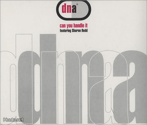 DNA :: CAN YOU HANDLE IT :: VINYYLI MAXI 12"    1992