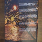 Nicholas Sparks: Haikein terveisin - pikkukuva 2