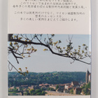 Meissen - Staatliche Porzellan-Manufaktur Meissen Edition... - pikkukuva 2