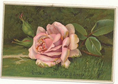 RUUSU-kortti vuodelta 1885