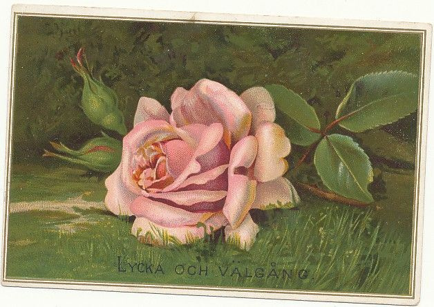 RUUSU-kortti vuodelta 1885