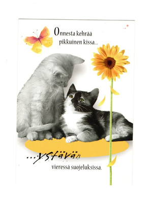 °°KISSA...Ystävä°° -KORTTI /(Kulkematon)