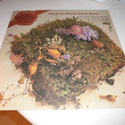 Manfred Mann's Earth Band-The Good Earth (UK orig) - pikkukuva 1
