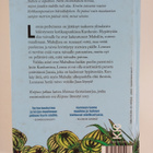 Vuokko Hurme : Kaipaus - pikkukuva 2