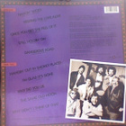 MARSHALL TUCKER BAND :: STILL HOLDIN'ON :: VINYYLI LP 1988 - pikkukuva 2