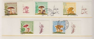 CCCP 1984 Mi 2983-2987  sieniä (2)