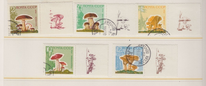 CCCP 1984 Mi 2983-2987  sieniä (2)