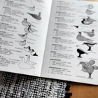 Birds  by Toikka 1972 - 2002 - pikkukuva 3