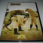 Wildboyz - Complete Season 4 (DVD) - pikkukuva 1