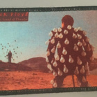 Pink Floyd : Delicate Sound of Thunder - hihamerkki - pikkukuva 1