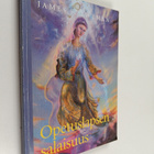 James F. Twyman : Opetuslapsen salaisuus - pikkukuva 1