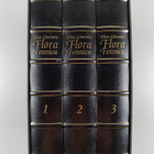 Elias Lönnrot : Flora Fennica 1-3 (numeroitu) - pikkukuva 1