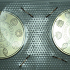 2012 Portugal 10 Euro juhlaraha Ibero Americana - pikkukuva 2