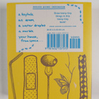 Chronicle Books : 642 Tiny Things to Draw - pikkukuva 2