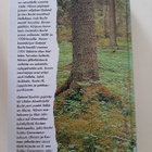 Tuisku-Camenaeus sukukirja. 5, Veronkantokirjuri Gabriel Buc - pikkukuva 2