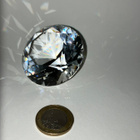 Swarovski 1096758 Chaton Ocean Wave SCS membership gift (201 - pikkukuva 2