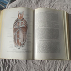 ALFRED BENNINGHOF - lehrbuch der anatomie des menschen - pikkukuva 2