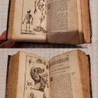 Anatomiaa 1600-luvulta: L’anatomie de l’homme - pikkukuva 3