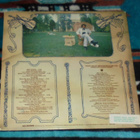DOBIE GRAY ~ Hey Dixie ~ LP - pikkukuva 2