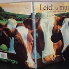 Malachy Doyle : Leidi ja muut (kuvitus Rinaldi, Angelo) - pikkukuva 1